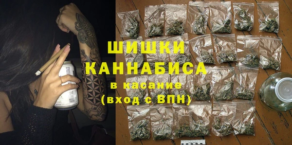 стафф Алзамай