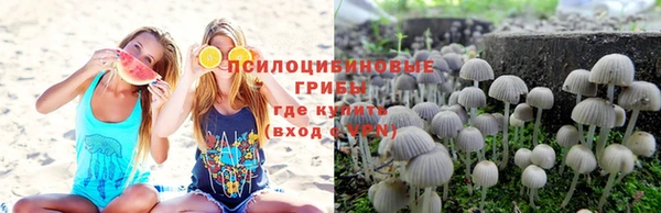 скорость Алексин