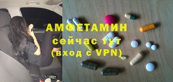 стафф Алзамай