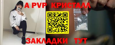 шишки Камышлов