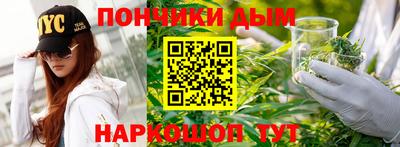 шишки Камышлов