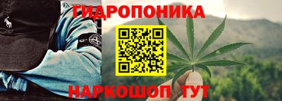 шишки Камышлов