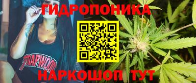 шишки Камышлов