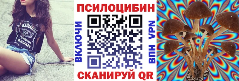 Галлюциногенные грибы Magic Shrooms  сколько стоит  Лесосибирск 